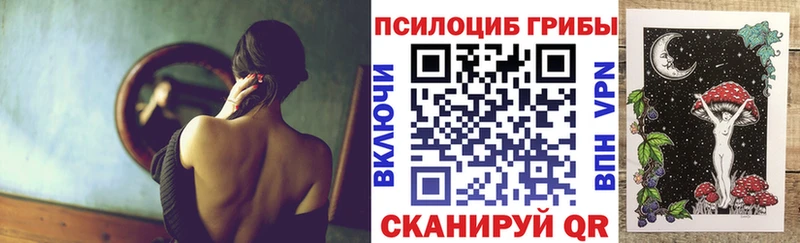 Псилоцибиновые грибы Psilocybine cubensis  МЕГА зеркало  Буинск  купить закладку 